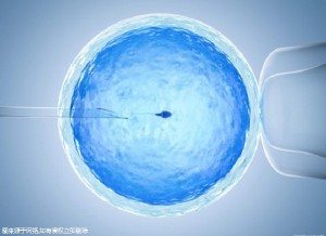 关于{ k1=g1 }